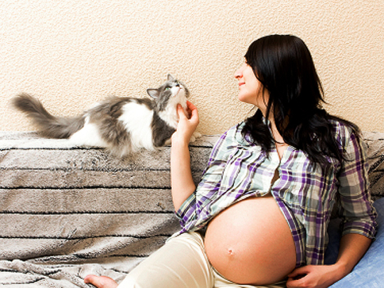pregnant-woman-and-cat